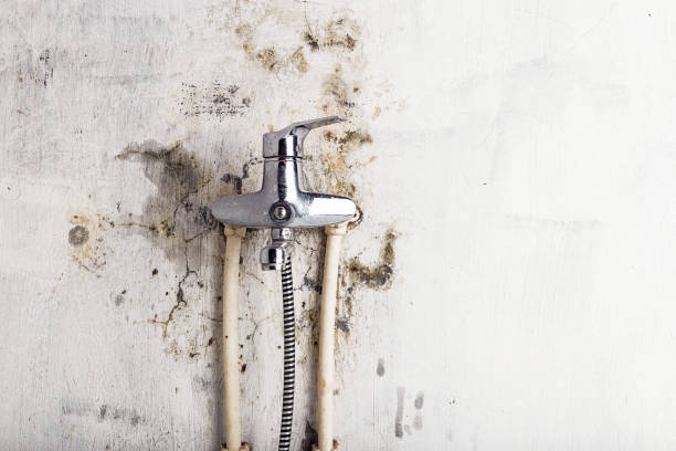 Best Mold Testing  in Richfield, UT