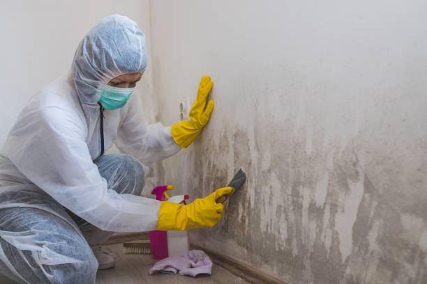 Best Crawl Space Mold Removal  in Richfield, UT