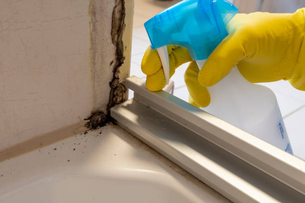 Mold Testing and Removal in Richfield, UT