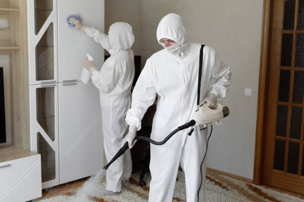 Best Residential Mold Removal  in Richfield, UT