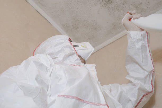 Best Mold Removal Company Near Me  in Richfield, UT