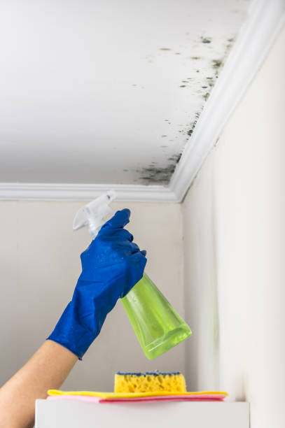 Best Office Mold Removal Services  in Richfield, UT